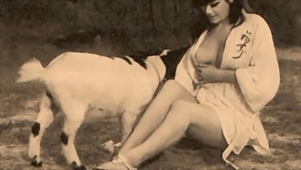Classic Taboo Porn: Pussy And Pooch In A Retro Setting